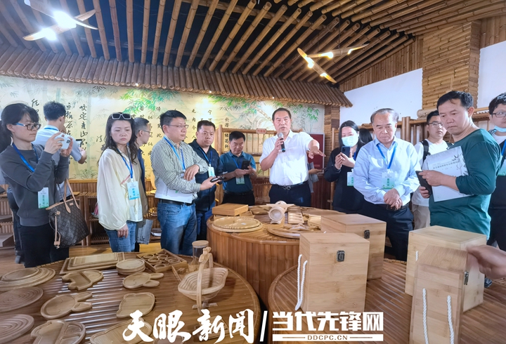 赤水竹韻 一根翠竹如何喚醒一座城的綠色繁榮